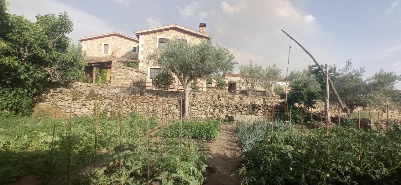 La Alqueria De Mamoles Guest House Eksteriør bilde